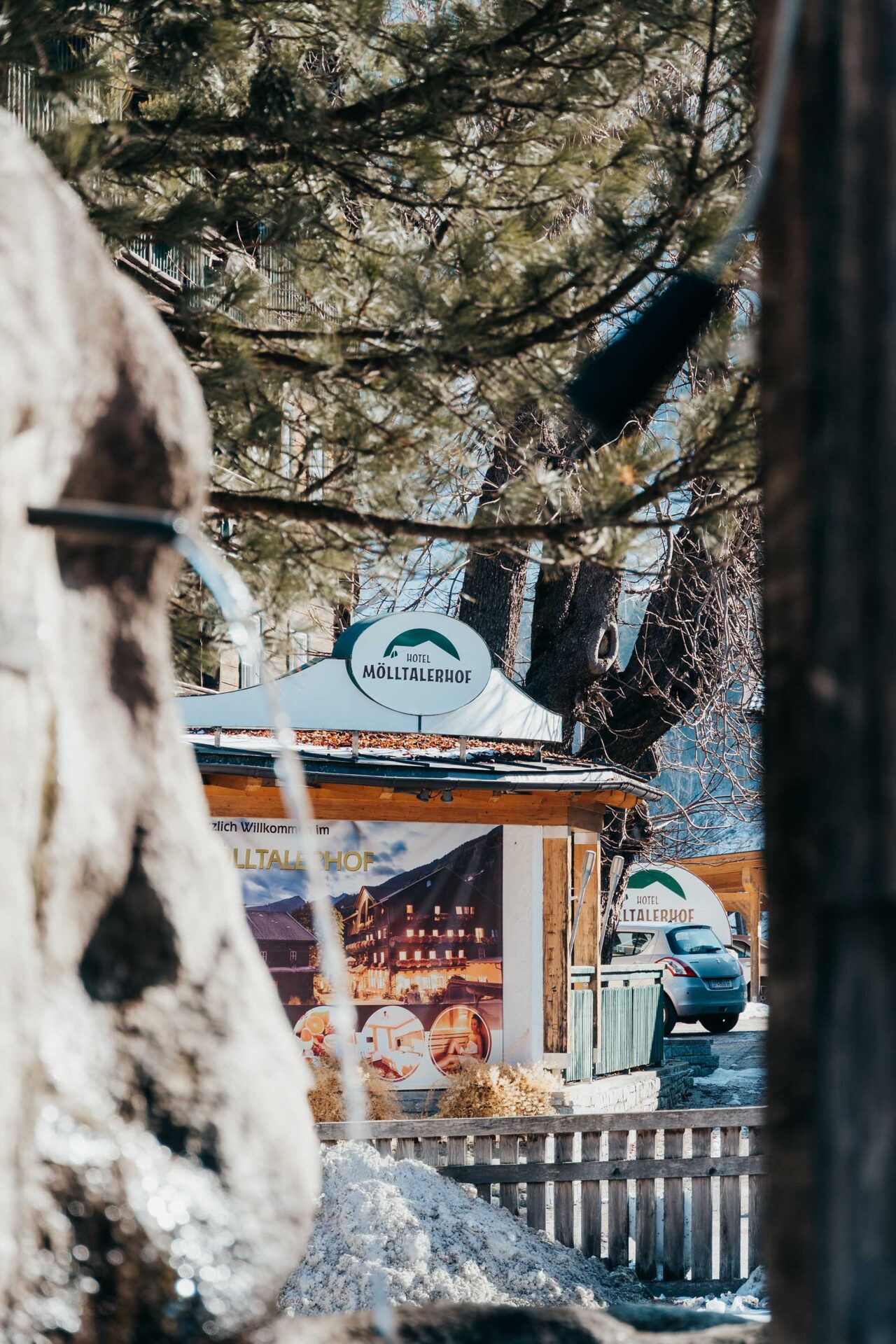 20250222-DSC08835-Edit